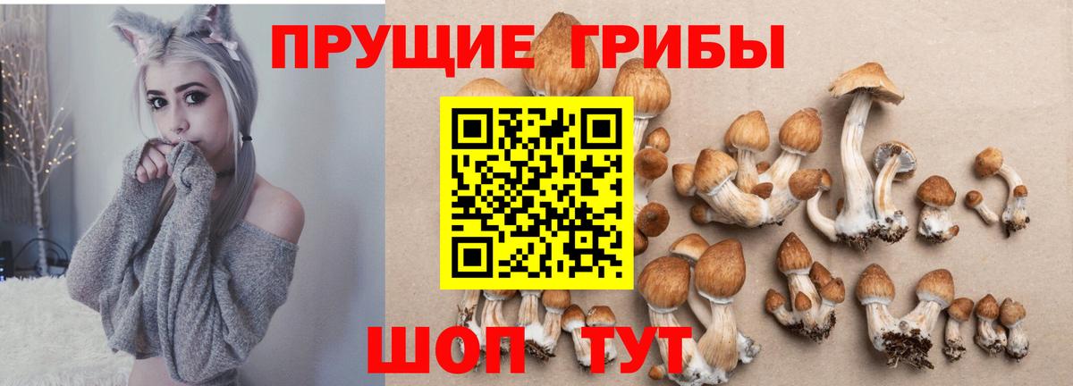 Люберцы  Галлюциногенные грибы мицелий  Вход с VPN 